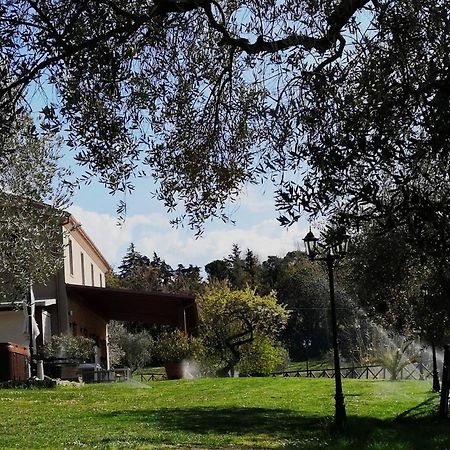 San Gaudenzio Agriturismo La Contea Senigallia 빌라 외부 사진